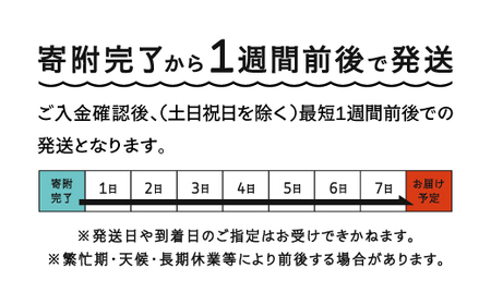 令和7年産 雪若丸 無洗米 順次発送 10kg 5kg×2袋 山形県産 ap-yumxa5x2-0