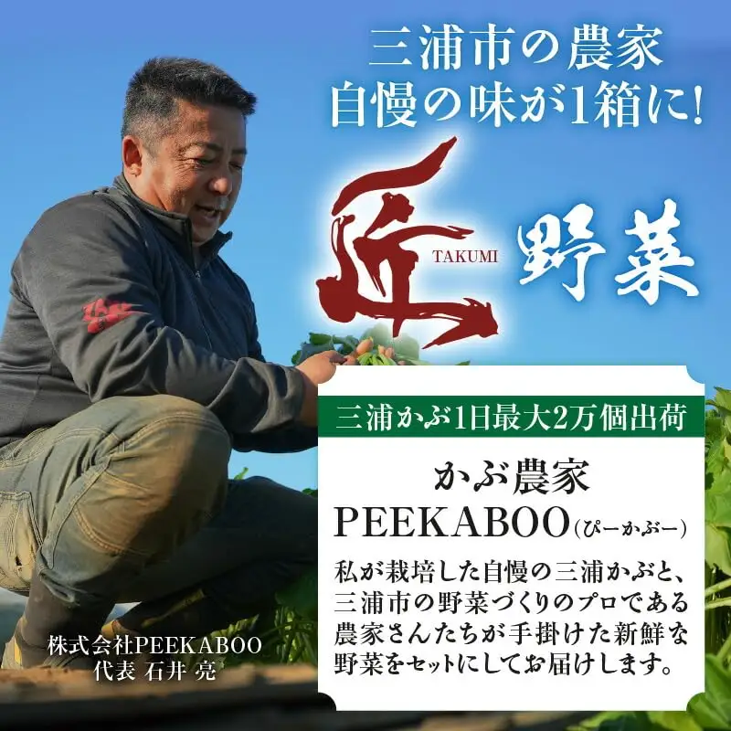 ＜ 先行予約 ＞ 三浦の 匠野菜 M127-001 野菜 季節の野菜 三浦かぶ