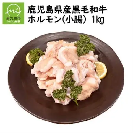 鹿児島県産黒毛和牛ホルモン(小腸)1kg【配送不可地域：離島】【1185883】