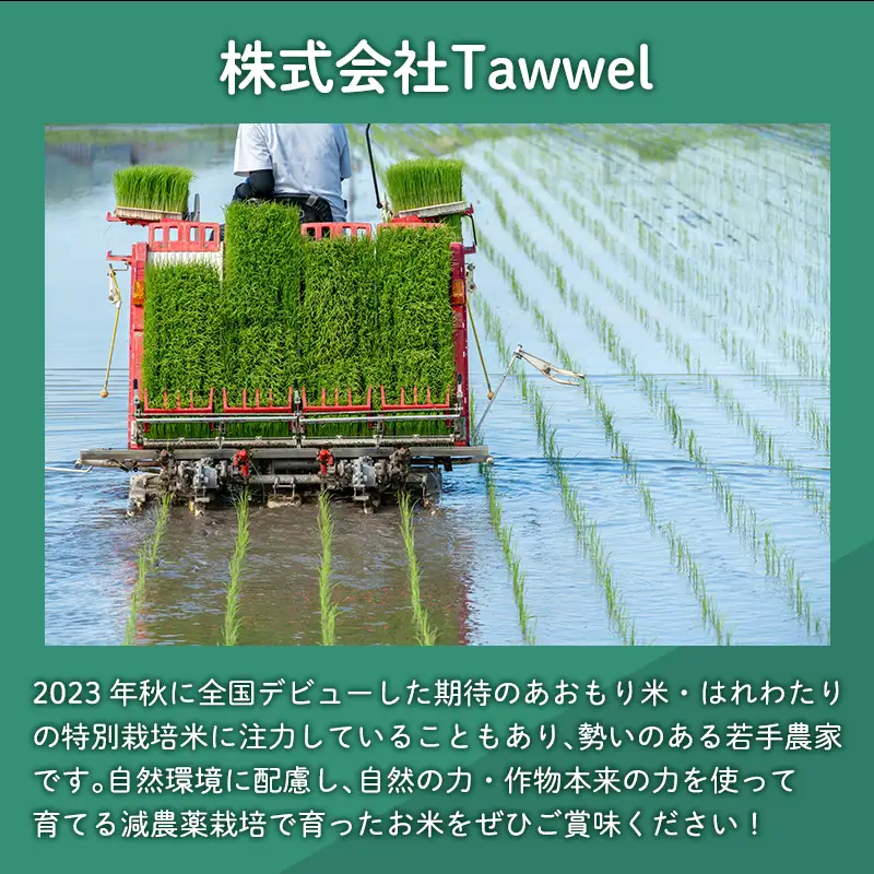 ≪令和8年産 先行予約≫特別栽培米 はれわたり玄米5kg[hi-0061-003-2]