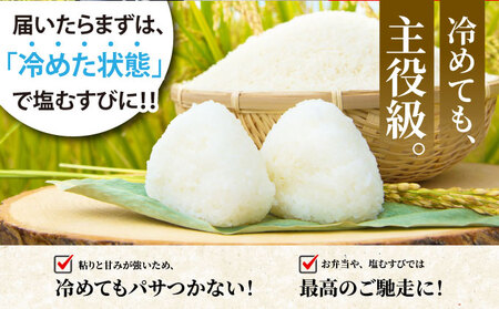 【12回定期便】令和8年産 コシヒカリ 10kg  定期便 精米 白米