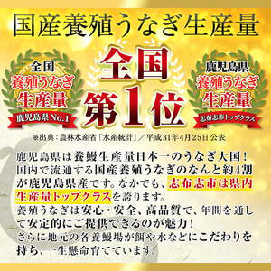 日ノ本一の鰻の蒲焼き＜特大＞3尾セット(計705g以上) うなぎ 鰻 ウナギ 国産 鹿児島県産 九州産 蒲焼き 冷凍 うな重 ひつまぶし c2-009