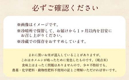 玄米 ひのひかり 5kg ぶんぶんファーム