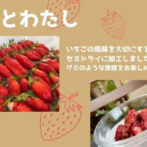 ドライフルーツ「苺とわたし」（2箱入り）| お菓子 おかし おやつ ドライフルーツ ギフト myz08 myz09 myz11 myz23 myz24