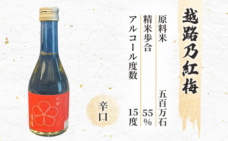日本酒 新潟 上越の地酒 6銘柄×2本 日本酒セット ギフト 飲み比べ 地酒 上越 300ml×12本 父の日 国産 店長オススメ おすすめ 純米 吟醸