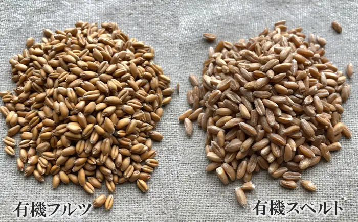 薪窯パン 胡桃レーズン 2個 【 農家パン VERUM 】 ／ パン ぱん ブレッド ベーカリー 薪窯 薪窯焼き 薪窯焼 石窯パン 石窯 卵不使用 乳製品不使用 乳不使用 自家製発酵種 国産 素材にこだわった 手づくり 手作り こだわり 冷蔵  冷蔵便 東北 岩手県 八幡平市 はちまんたい おすすめ