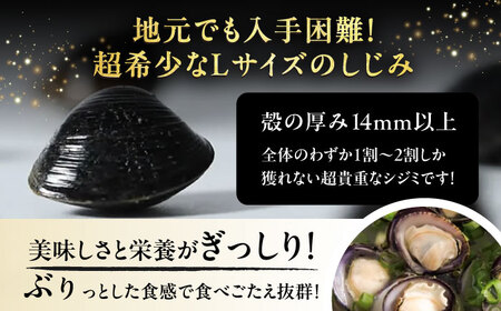 【全3回定期便】地元でも入手困難なレアサイズ！ Lサイズ 宍道湖産ヤマトシジミ(冷凍砂抜き済み)1kg×3袋(3kg) 島根県松江市/宍道湖漁業協同組合[ALAZ006]
