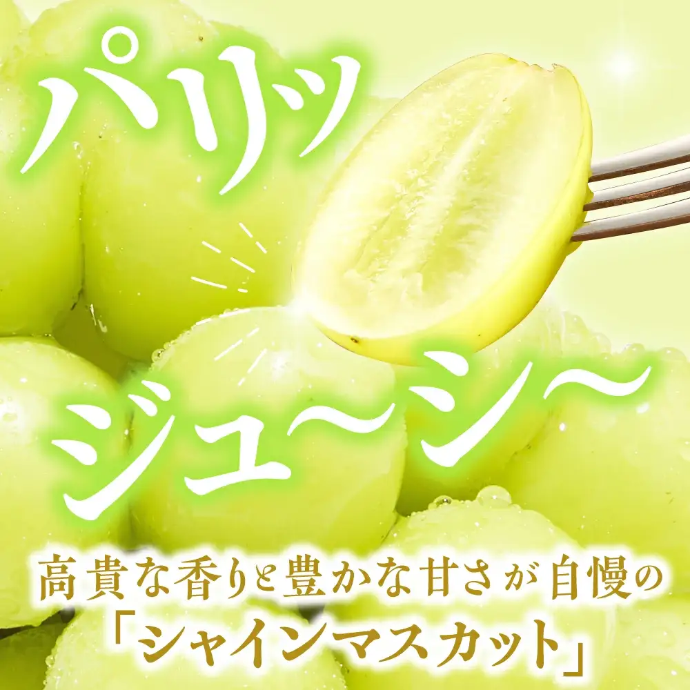 ぶどう 冬 に味わう シャインマスカット 約1.4kg ブドウ