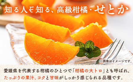 ＜せとか（家庭用）約3kg＋300g＞ 自宅用 訳あり ワケアリ 果物 くだもの フルーツ ミカン みかん セトカ 蜜柑 高級柑橘 柑橘の大トロ 柑橘 特産品 笑丸 愛媛県 西予市 常温『2027年3月上旬～4月上旬頃に順次出荷予定』AAN0087