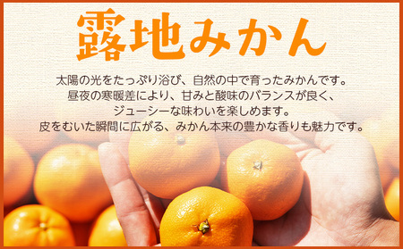 【贈答用】露地みかん 約5kg 小玉ミカン 先行受付 om-0004