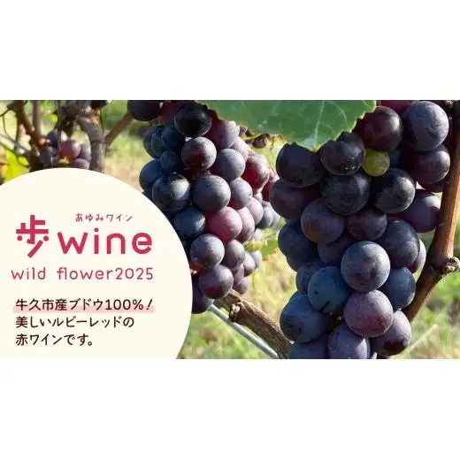歩wine wild flower2025 ( 750ml )