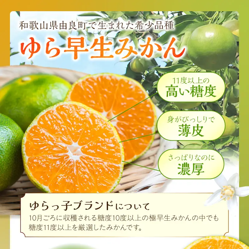 御坊市・日高川町・由良町産 ゆら早生みかん（ゆらっ子）5kg《先行予約》【0552-3】
