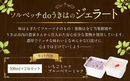 ソルベッチdoうきは ジェラート500ml×2個セット フルーツ ミルク スイーツ デザート ジェラート シャーベット アイス いちごミルク ブルーベリーミルク セット 冷凍 福岡県 うきは市