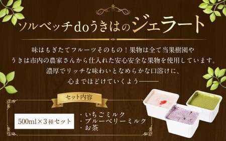 ソルベッチdoうきは ジェラート500ml×3個セット フルーツ ミルク スイーツ デザート ジェラート シャーベット アイス いちごミルク ブルーベリーミルク オリーブ塩ミルク お茶 セット 冷凍 福岡県 うきは市