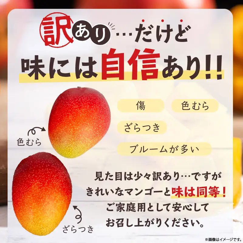 先行予約 訳あり 完熟マンゴー 2L×2玉（パック）マンゴー 宮崎 果物 フルーツ くだもの 2027年 国産 高級 マンゴージュース フルーツサンド 南国フルーツ デザート おすすめ 家庭用 ワケアリ おすそ分け 冷蔵 綾町 送料無料 【JA綾町】_A0114-1102