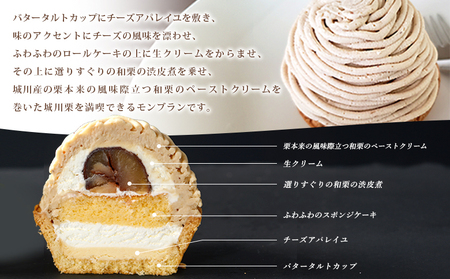 ＜城川オリジナルモンブラン 2個入り【2回定期便】＞ 栗 スイーツ マロン 洋菓子 おかし ケーキ くり お試し 和栗ペースト クリーム 渋皮煮 スポンジ チーズアパレイユ タルト メニークエスト 愛媛県 西予市【冷凍】『3か月以内に順次出荷予定』ふるさと納税モンブラン SMQ0016
