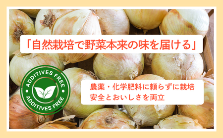 新たまねぎ 約5kg 先行予約 【たまねぎ】