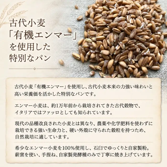薪窯パン 有機エンマー 2個 × 2ヶ月定期便 【 農家パン VERUM 】 ／ パン ぱん ブレッド ベーカリー 古代小麦 薪窯 薪窯焼き 薪窯焼 石窯パン 石窯 卵不使用 乳製品不使用 乳不使用 自家製発酵種 国産 素材にこだわった 手づくり 手作り こだわり 冷蔵 冷蔵便 東北 岩手県 八幡平市 はちまんたい