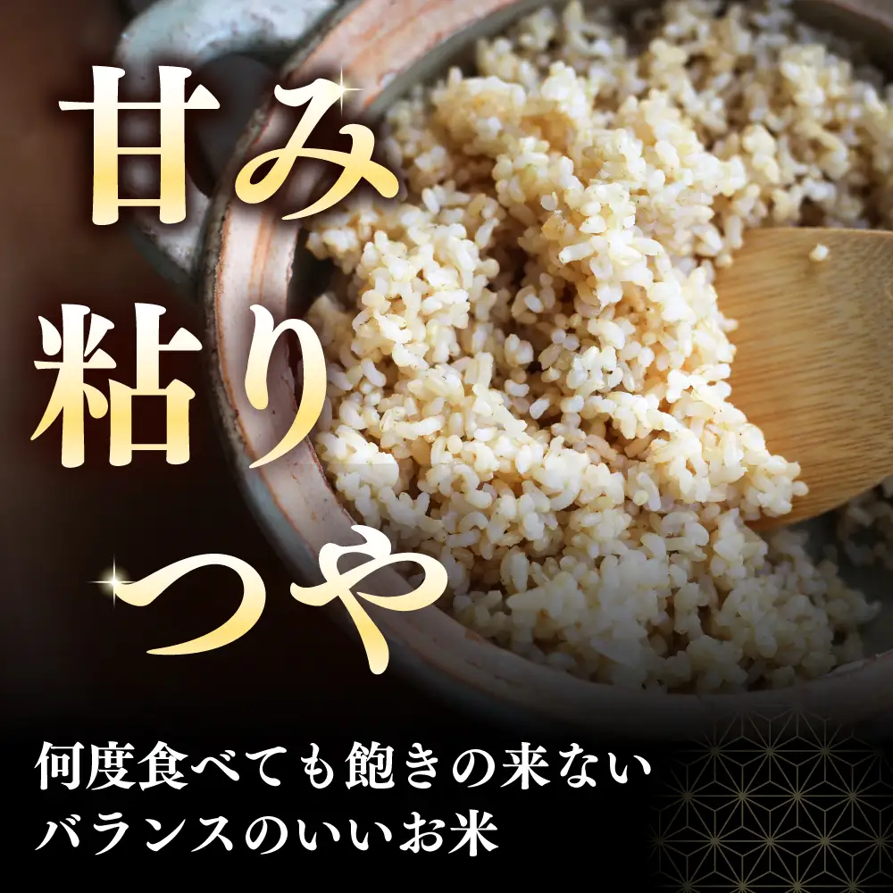 【隔月全3回定期便】【玄米】ななつぼし さくら米 10kg 特A 北海道[AXAB082]