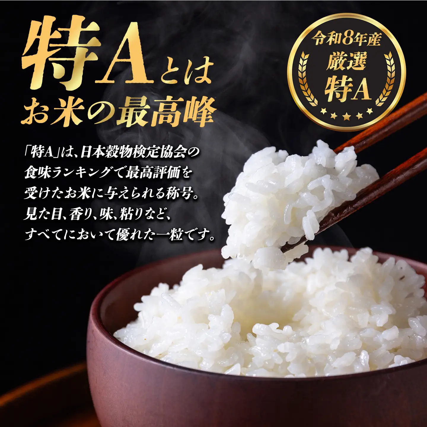 【先行予約】コシヒカリ 10㎏ 令和8年産 精米 コシヒカリ