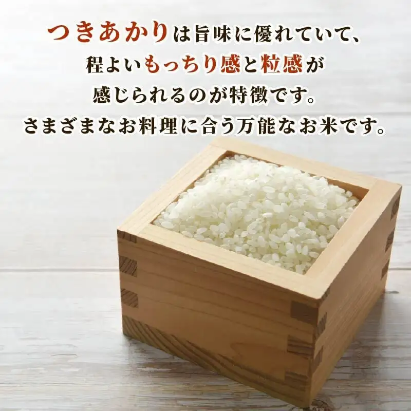 【2026年11月発送】新米 つきあかり 5 kg お茶 セット 静岡県 牧之原市