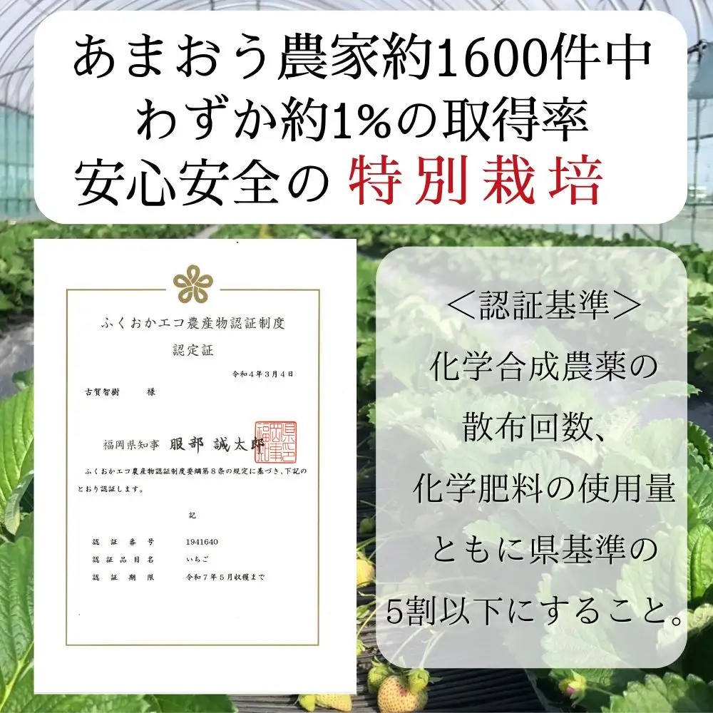 【先行予約受付中】【2026年12月以降順次発送】特別栽培あまおう4パック(サイズミックス)【うるう農園】_HA1968