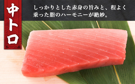 【4月発送】本マグロ 中トロ 410g 冷凍