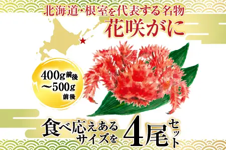 【北海道根室産】花咲かに400g前後～500g前後×4尾 B-36015