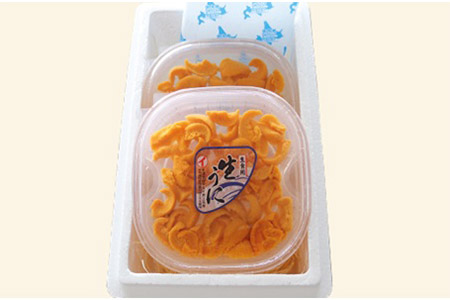 エゾバフンウニ塩水パック70～80g×2P[10月下旬以降発送] B-40022