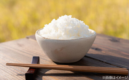 【全6回定期便】 とくべつの中のとくべつ 特別栽培米 3kg 夢つくし 吉富町/(株)やました[BGBX003]