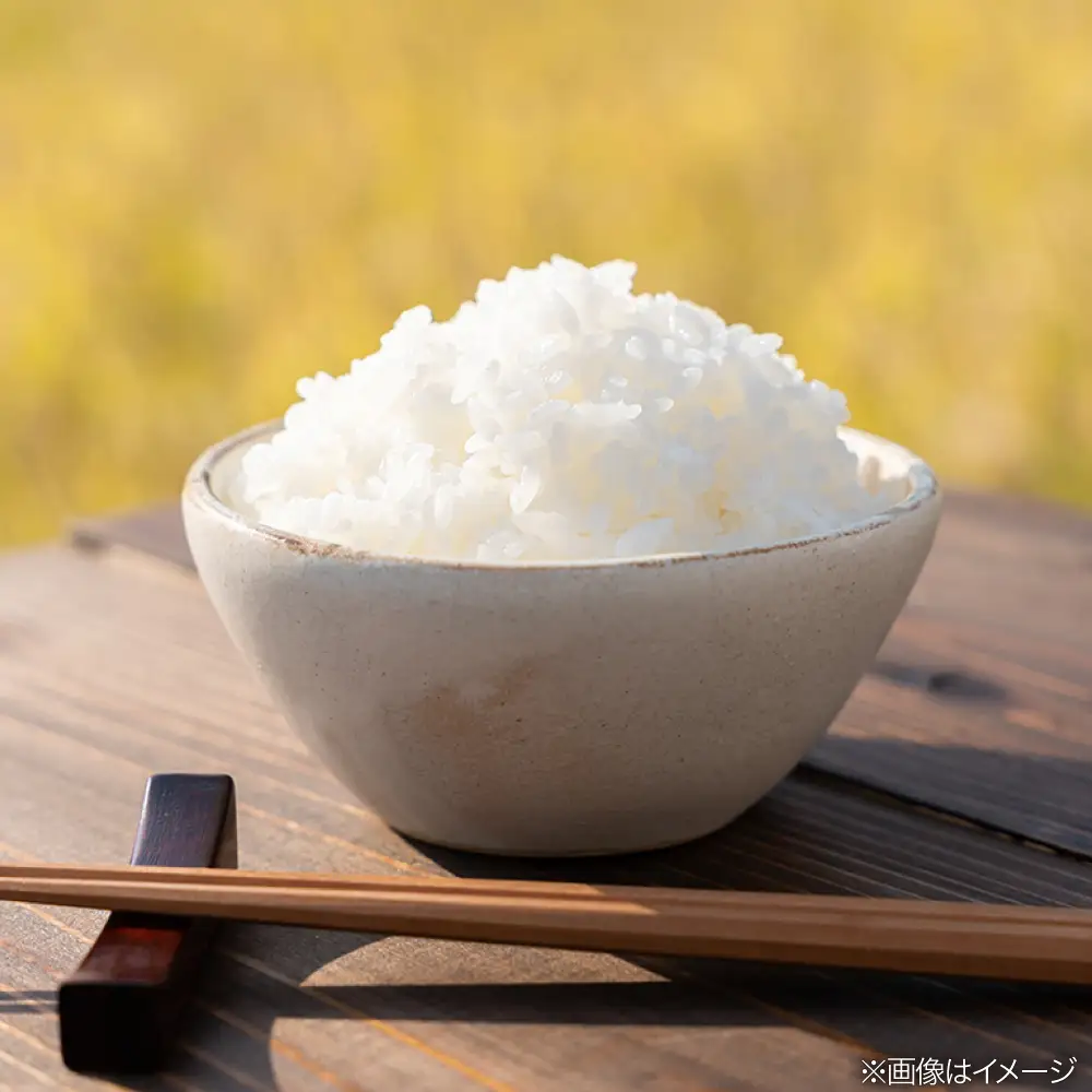 【全12回定期便】とくべつの中のとくべつ 特別栽培米 5kg 夢つくし 吉富町/(株)やました[BGBX008]