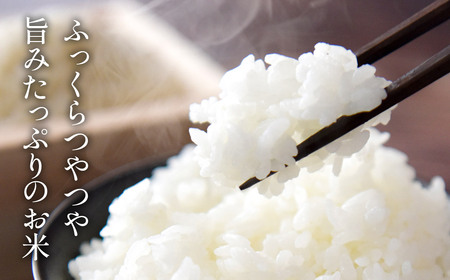 《定期便6回》 玄米 コシヒカリ 特A 丹波篠山産 5kg  特別栽培米 減農薬 令和7年産 コシヒカリ