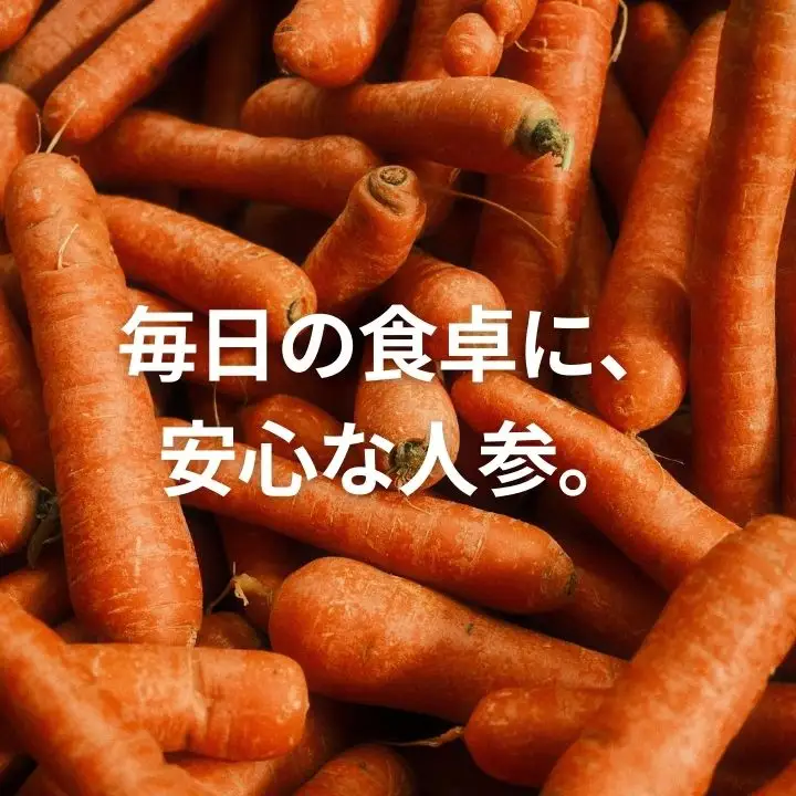 人参 10kg 人参