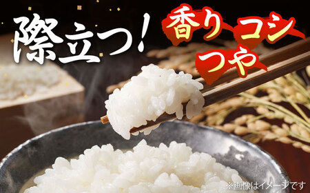 【全3回定期便】天日自然乾燥米 こしひかり 10kg 《壱岐市》【長米壱岐営業所】[JCZ026]