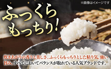 【全3回定期便】令和8年産米 壱岐産米 こしひかり 10kg 《壱岐市》【長米壱岐営業所】[JCZ032]