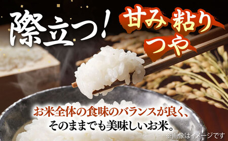 壱岐産米 つや姫 5kg [JDW060] つやひめ 米