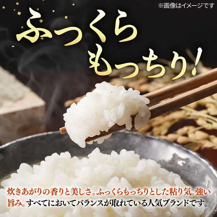 壱岐産米 こしひかり 5kg [JDW061] コシヒカリ 米