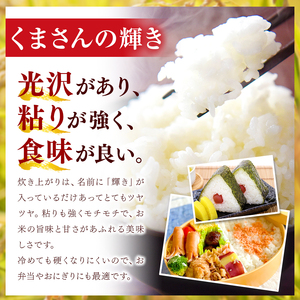 令和7年産 熊本県産 くまさんの輝き 無洗米 25kg 米 こめ