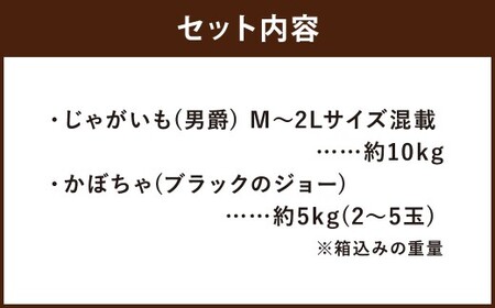 北海道産 じゃがいも 男爵 M～2Lサイズ混載 約10kg かぼちゃ ブラックのジョー 約5kg（2～5玉） セット 各1箱 合計約15kg 2箱 山田農場 ジャガイモ 芋 いも イモ 栗かぼちゃ 南瓜 カボチャ 国産 【2026年10月上旬-11月上旬迄発送予定】