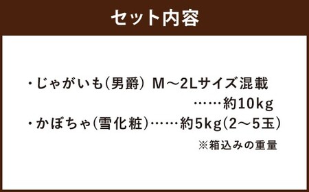 北海道産 じゃがいも 男爵 M～2Lサイズ混載 約10kg かぼちゃ 雪化粧 約5kg（2～5玉） セット 各1箱 合計約15kg 2箱 山田農場 ジャガイモ 芋 いも イモ 冬至 南瓜 カボチャ 国産 【2026年10月上旬-11月上旬迄発送予定】