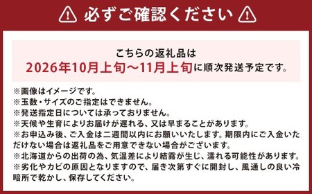 北海道産 かぼちゃ （雪化粧） 約5kg セット 山田農場 南瓜 カボチャ 冬至用かぼちゃ 野菜 やさい 北海道 京極町 常温 【2026年10月上旬-11月上旬迄発送予定】