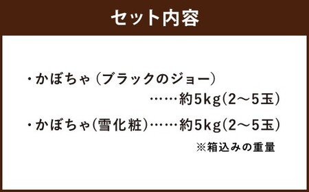 北海道産 かぼちゃ （ブラックのジョー） 約5kg ・ 北海道産かぼちゃ （雪化粧） 約5kgセット 山田農場 南瓜 カボチャ 冬至用かぼちゃ 野菜 やさい 北海道 京極町 常温 【2026年10月上旬-11月上旬迄発送予定】