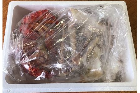【北海道根室産】生冷凍たらばがに脚カット済600g・ボイル冷凍花咲ガニ1尾セット C-59002