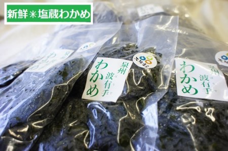 漁師がお届け 塩蔵わかめ 500g と 乾燥わかめ 200gセット 計700g 