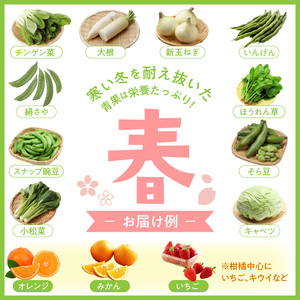 旬の新鮮野菜・フルーツ詰め合わせ【0055-2】