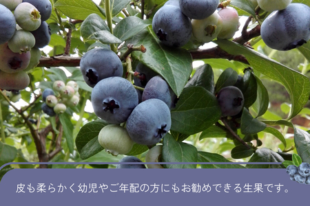 【先行予約】有機ブルーベリー 100g×4パック（島根県浜田市産）＜2027年7月下旬より順次発送＞ 【208_0003】