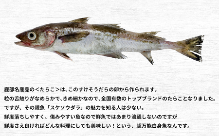 楽しみ方は10通り！メニューに困らない万能白身魚 北海道産 すけそうだら 5kg 冷凍 内臓処理済み 鮮魚