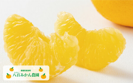 【先行予約】訳あり 完熟 甘夏 10kg 発送期間：2027年3月上旬～無くなり次第終了 八百みかん農園 愛媛県 愛南町
