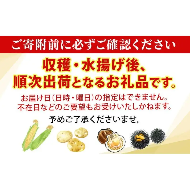 【ふるなびWEEK対象】北海道産 とうもろこし 恵味 ゴールド 2L 8本 8月中旬～9月下旬頃お届け 朝採り 恵味 めぐみトウモロコシ スイート コーン 甘い 新鮮 先行受付 夏 野菜 産地直送 塩田農園 送料無料 北海道 洞爺湖町