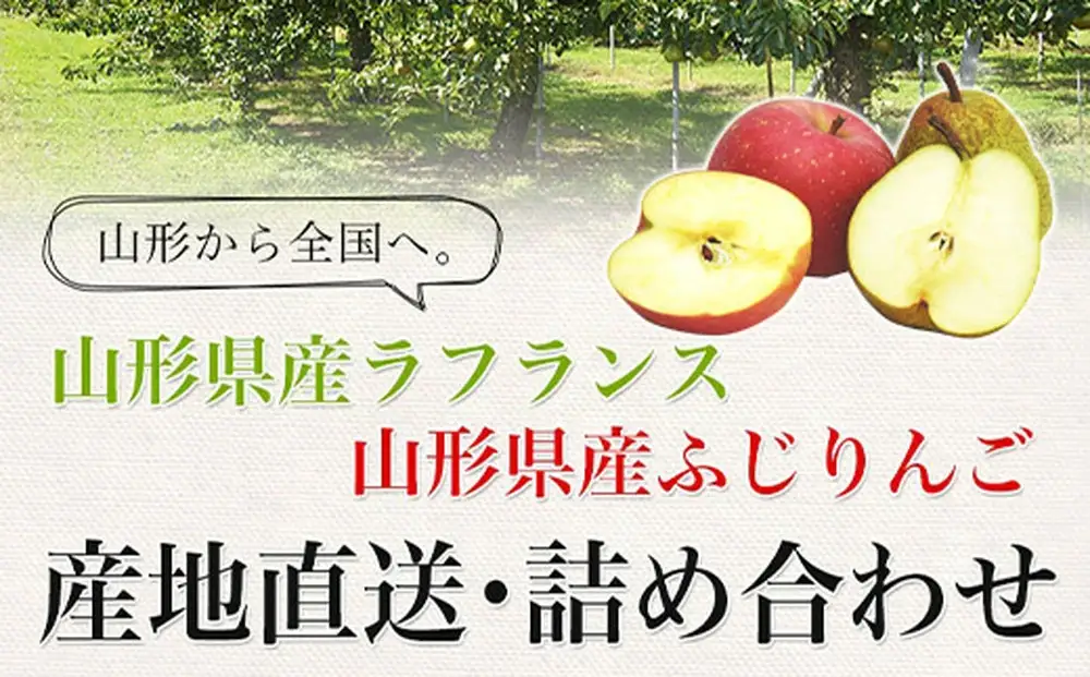 ラ・フランス & サンふじ 詰合せ 3kg 山形 りんご ラフランス